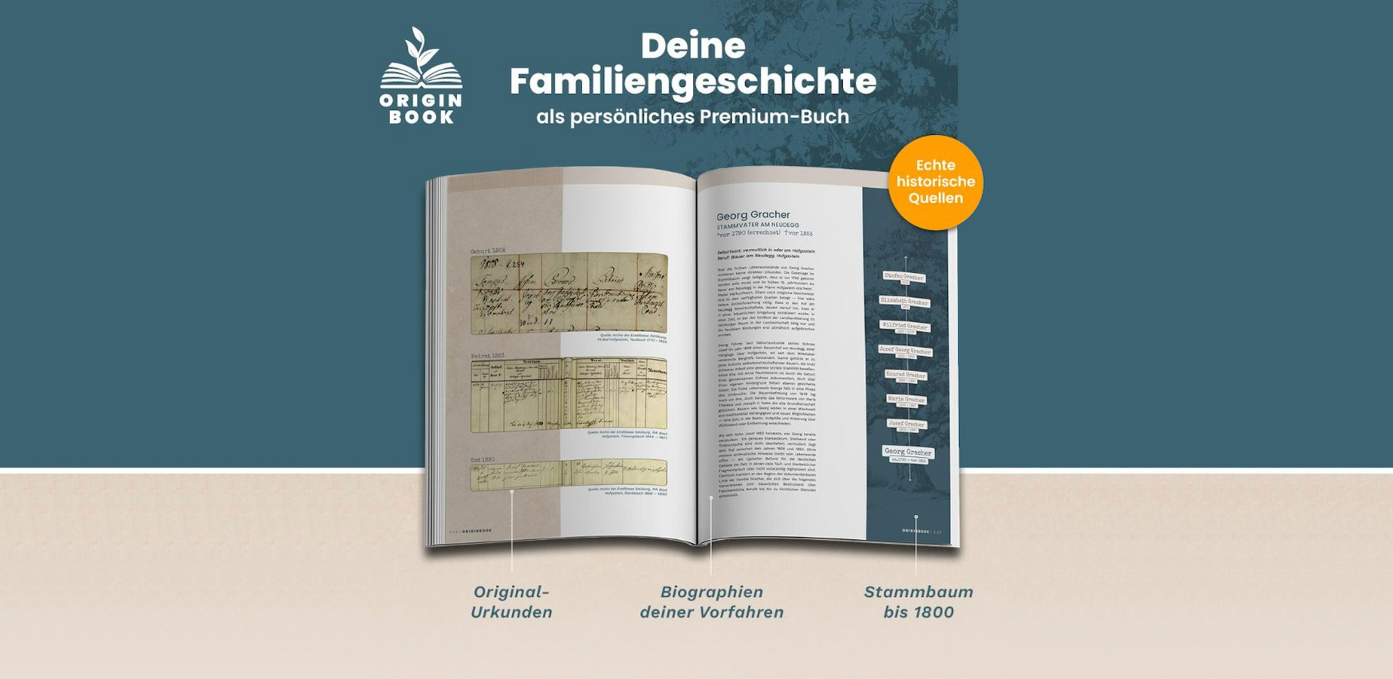 Book preview