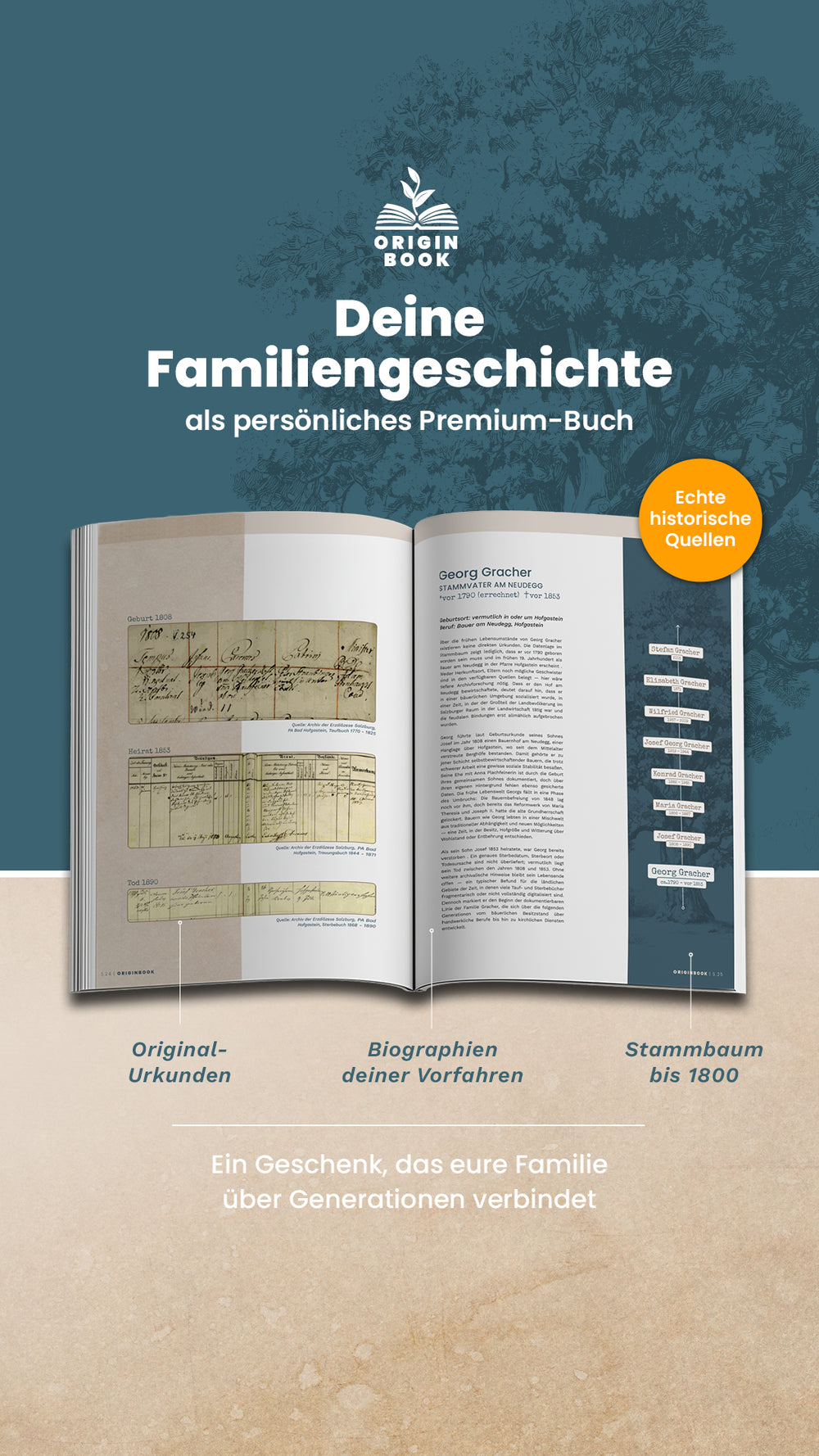 Book preview